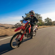 CRF300L