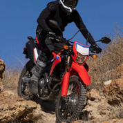 CRF300L