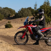 CRF 300 RALLY